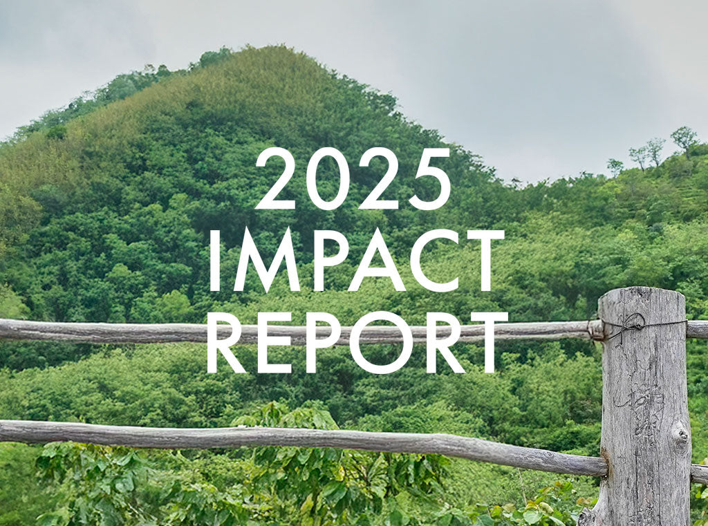 IMPACT REPORT